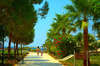 Asa Club Holiday Resort 